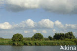 Nationaal Park de Biesbosch