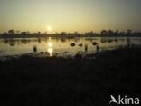 National Park Drents-Friese Wold