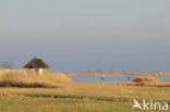 National Park Lauwersmeer