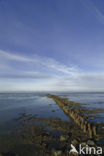 National Park Lauwersmeer