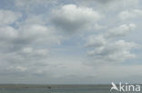 National Park Oosterschelde