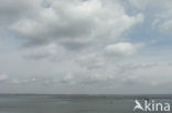 National Park Oosterschelde