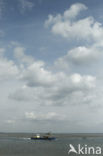 National Park Oosterschelde