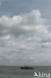 National Park Oosterschelde