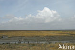 Nationaal Park Oosterschelde