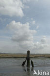 Nationaal Park Oosterschelde