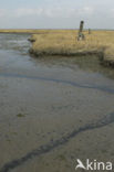 National Park Oosterschelde