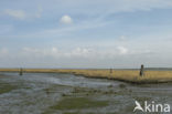 National Park Oosterschelde