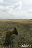 National Park Oosterschelde