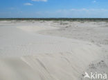 Nationaal park Schiermonnikoog