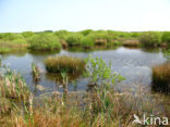 Nationaal park Schiermonnikoog