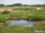 Nationaal park Schiermonnikoog