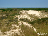 National Park Schiermonnikoog