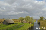 National Park Weerribben-Wieden