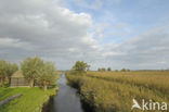 National Park Weerribben-Wieden