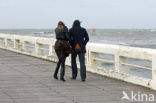 Noordzee