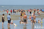 Noordzee