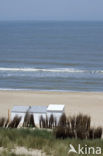 Noordzeestrand