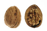 Okkernoot (Juglans regia) 