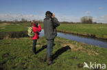 Onnerpolder