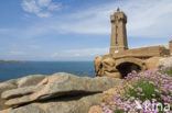 Phare de Ploumanach