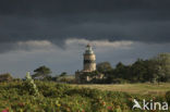 Falsterbo Fyr Lighthouse