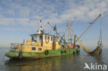 Waddensea