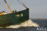 Waddensea