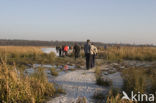 Amerongse Bovenpolder