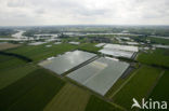 Brakel