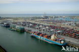 Container terminal ECT