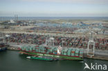 Container terminal ECT