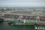 Container terminal ECT
