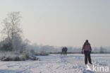 Kampina