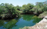 Laguna Pepe