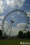 London Eye