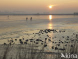 Markermeer