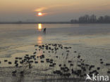 Markermeer