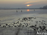 Markermeer