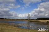 Masurian Lakeland