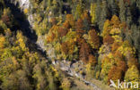 Nationaal Park Hohe Tauern