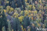 Nationaal Park Hohe Tauern