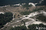 National Park Loonse en Drunense Duinen