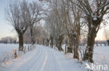 Nature reserve Mommniederung