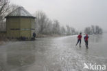 Oostvaardersplassen