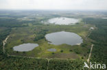 Strabrechtse Heide
