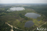 Strabrechtse Heide