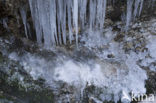 Triglav Nationaal Park