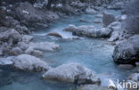 Triglav Nationaal Park