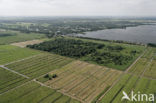 Bethunepolder